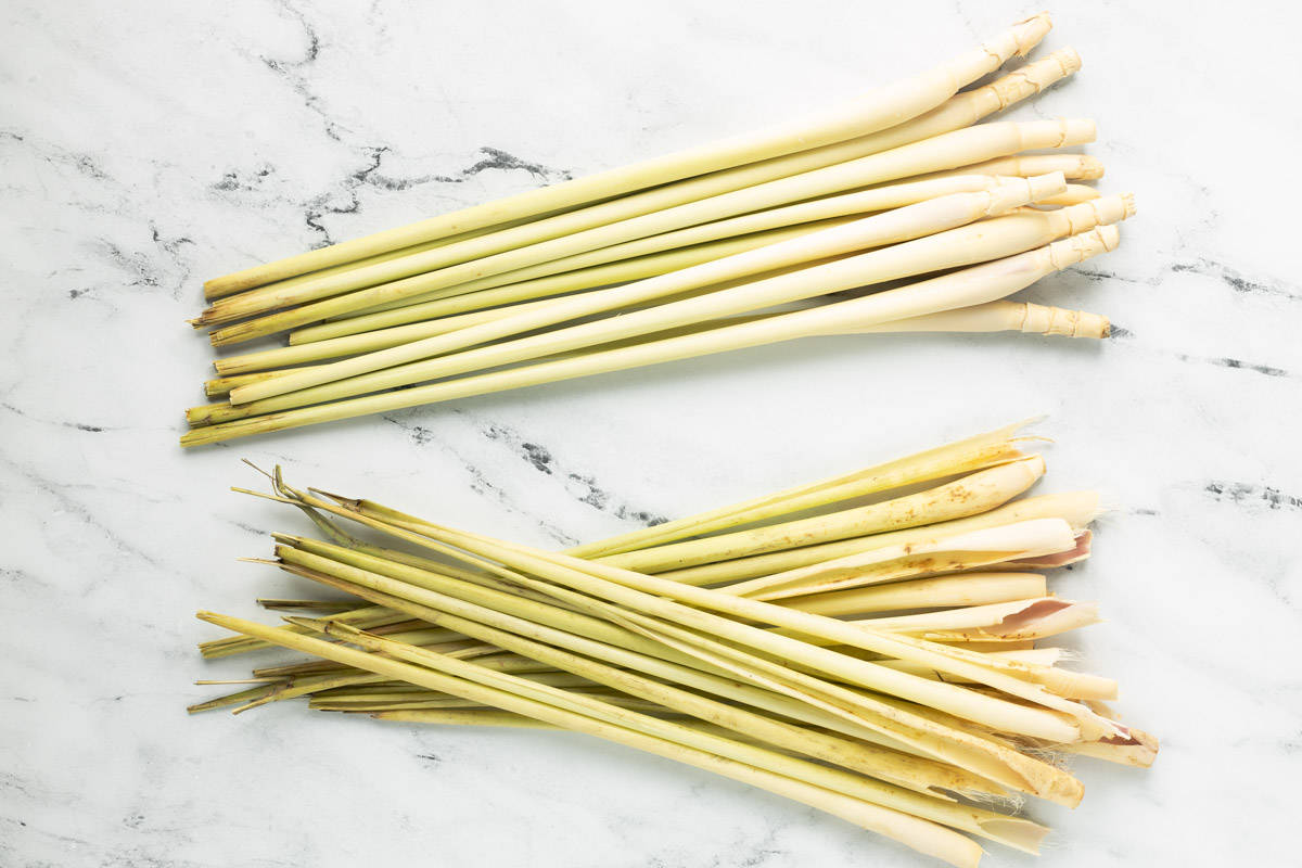 Stalks of lemongrass with outer layers removed.